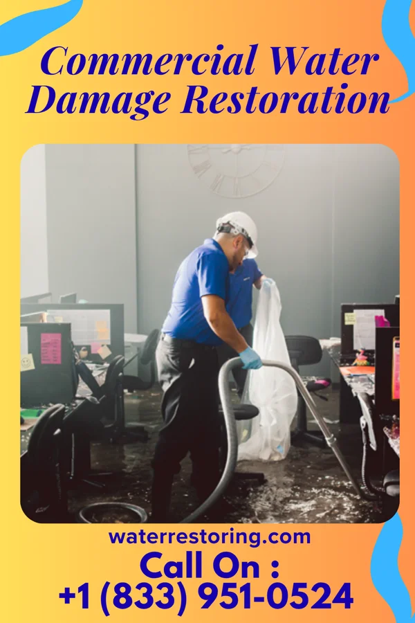 Commercial Water Damage Restoration in Revere, MN