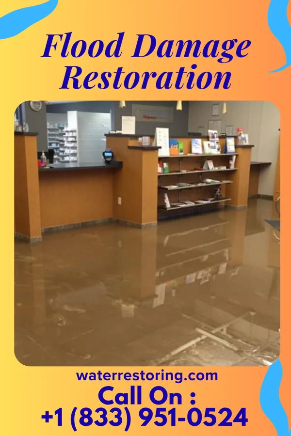 Flood Damage Restoration in Revere, MN