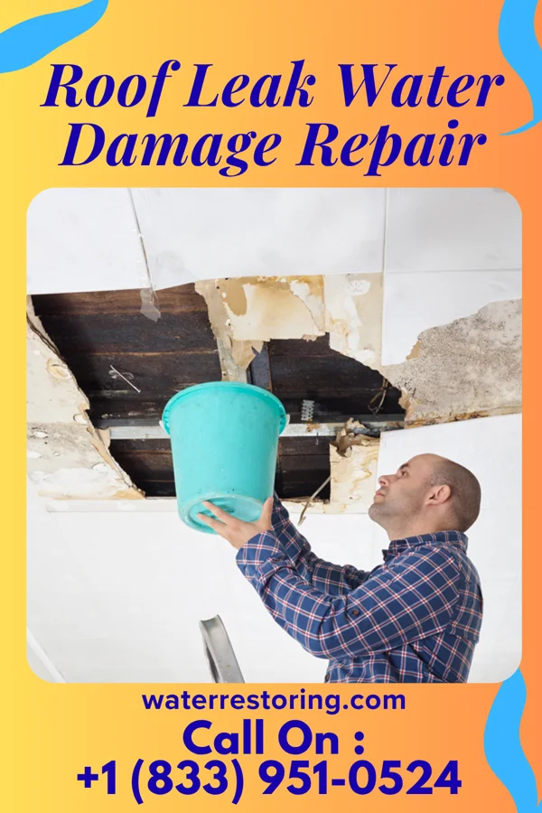Roof Leak Water Damage Repair in Revere, MN